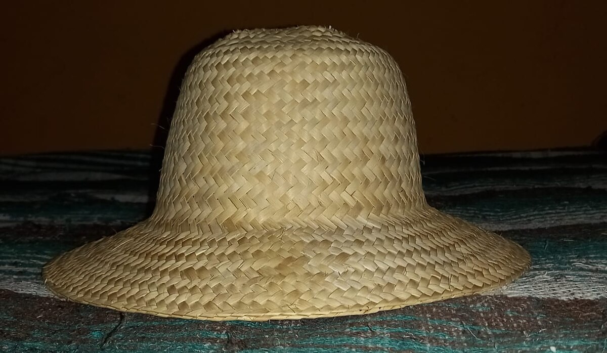 sombrero-de-palma-961ioc-1.jpg
