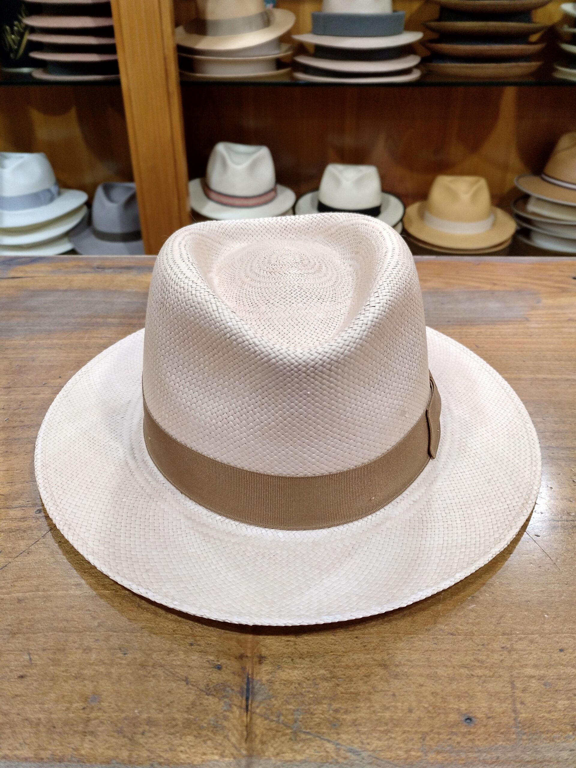 sombrero-panameno-922rqj.jpg